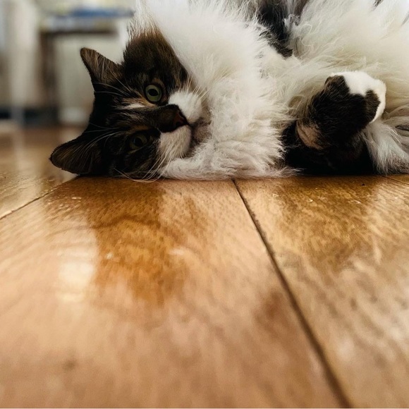 Meet your Posher, Regina - Picture 9 of 10